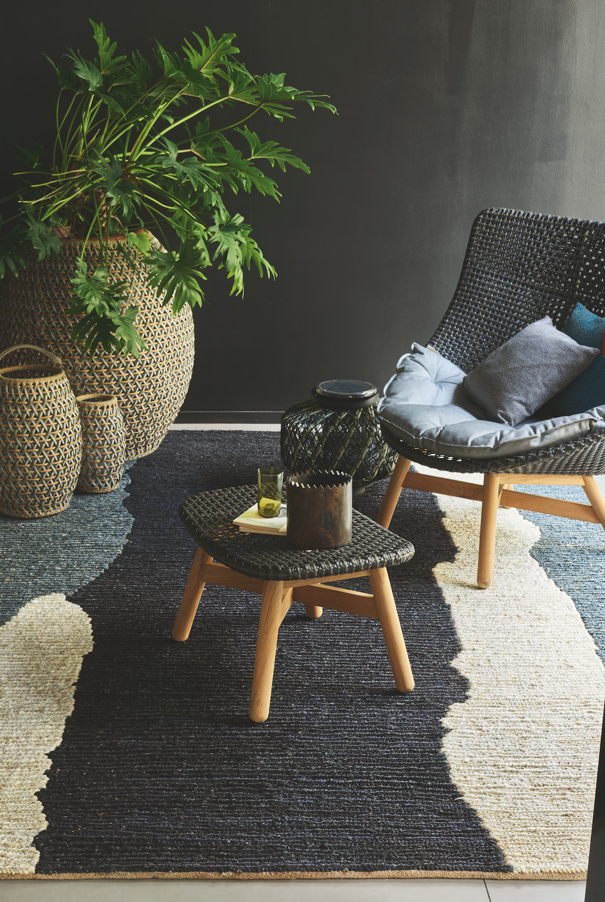 Clair Obscur Zwart Wit Natuurlijk Interieur